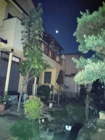 月明かりの庭