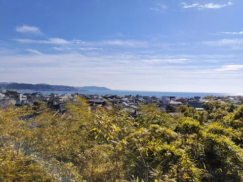 きらめく海を見下ろす街