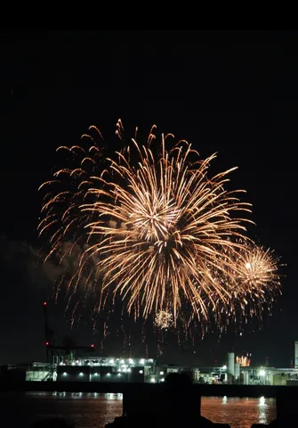 夜空に咲く華やかな光の芸術