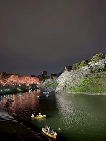夜桜と水面のさざ波