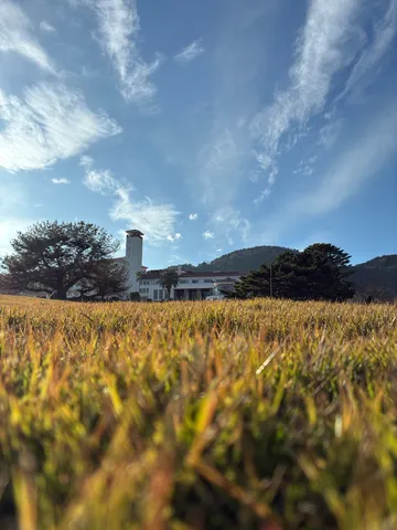 草の絨毯と遠くの建物