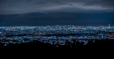 夜景に広がる光の絨毯