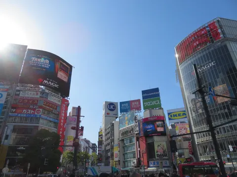 未来都市のネオンサインジャングル