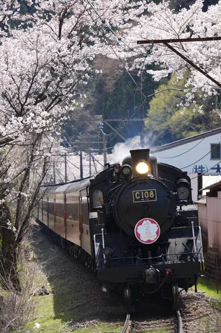 桜色のトンネル、黒いSL
