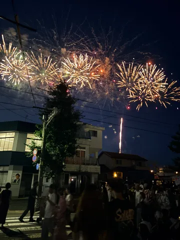 夜空に咲く、夏の光の華