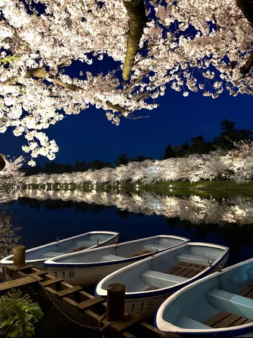 弘前公園の夜桜