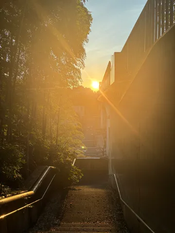 夕暮れ時の階段