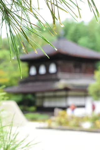 露の香る山寺の瞬間