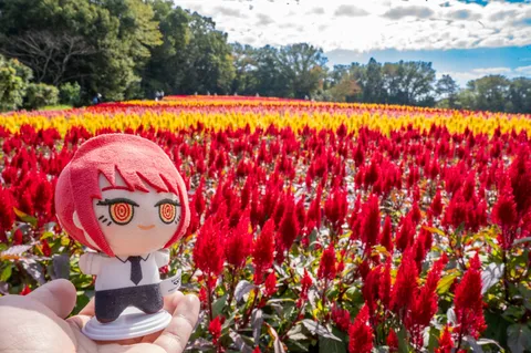 赤い花畑の小さな主役