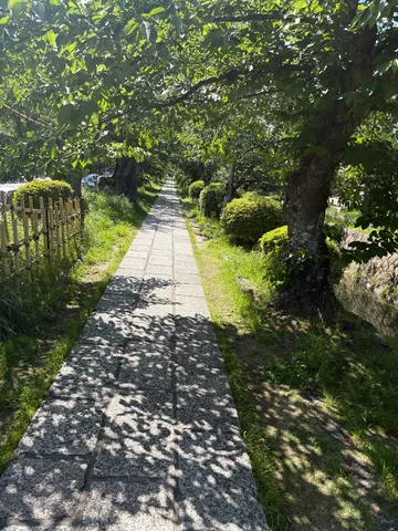 木漏れ日の小径、緑陰の道