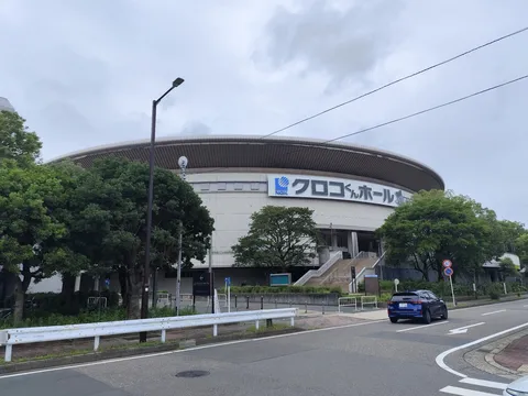 クロコと歩む、曇り空の午後