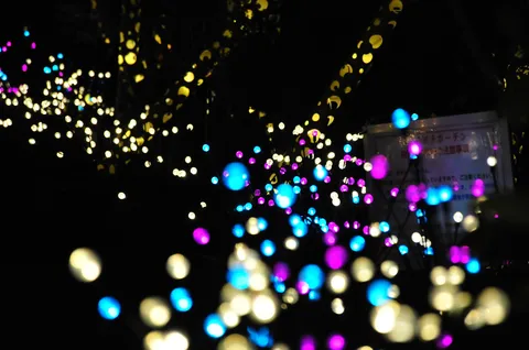 夜を彩る光の粒