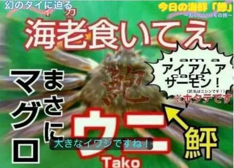 マグロじゃない？カニ？ウーパールーパー？