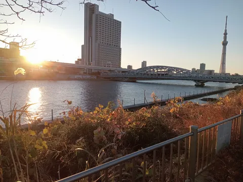 黄金色に輝く都会の水辺