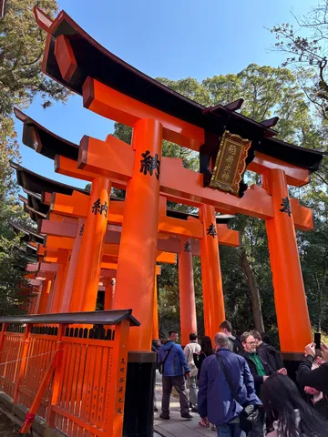 連なる朱色の鳥居、光と影の参道
