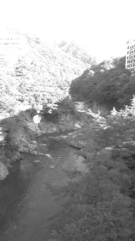 清流と影の静かな谷
