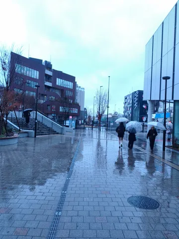 青い雨、濡れた街