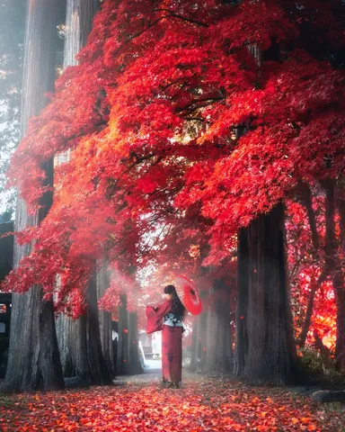 紅葉に染まる夢路