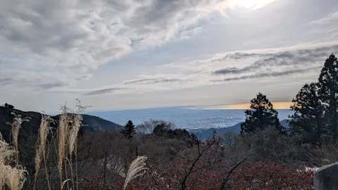 海と山の境界に揺れる光