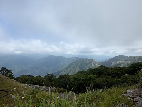 雲海と緑の連なり
