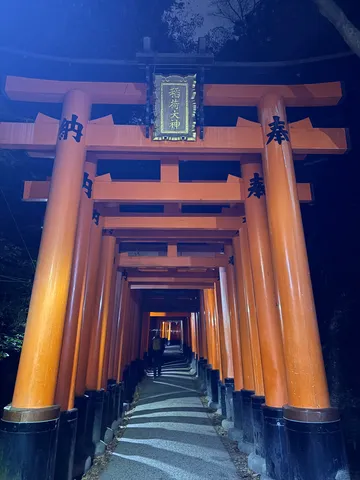夜の鳥居、誘う光の道