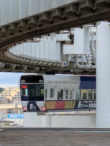 千葉モノ