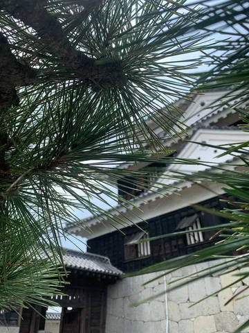 マツ山城