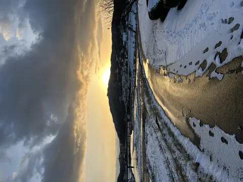 黄金に輝く雪の道
