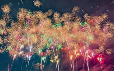 煌めく空に咲く百花繚乱