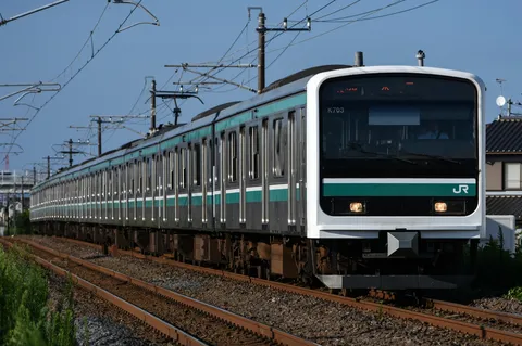 念願のごまいち