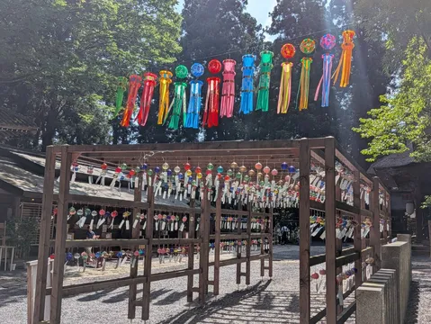 彩り豊かな夏の風物詩