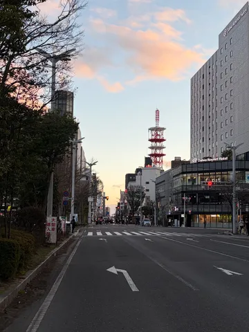 夕暮れに染まる街、電波塔のシルエット