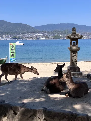 神の使い