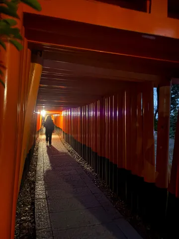 朱色の鳥居が導く灯りの道