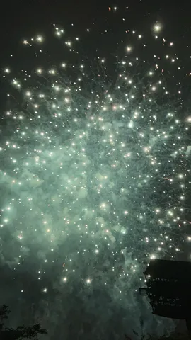 夜空に咲く光の花