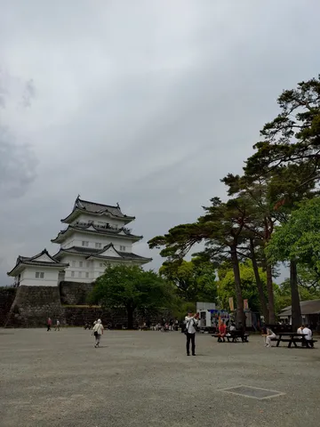 白壁と木陰の城景