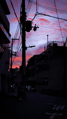 茜色の空に浮かぶ影