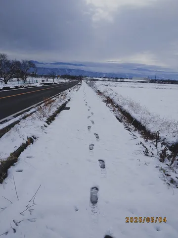 雪道に続く足跡
