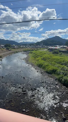 水辺に映る夏の風景