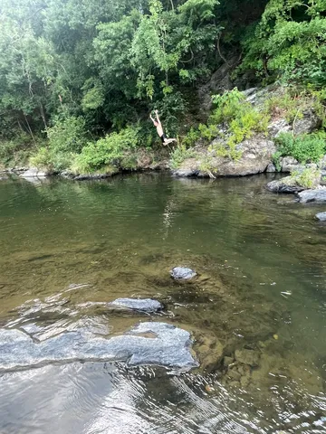木々の間を飛ぶ瞬間