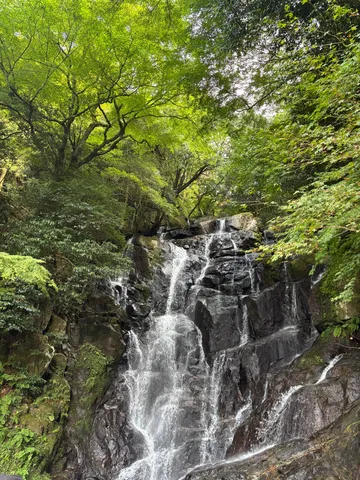 緑に包まれた癒やしの滝