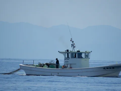 海を行く白い船