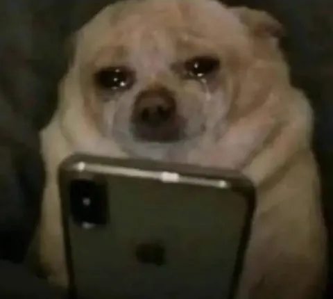 涙ぐむスマホ待ちのワンちゃん