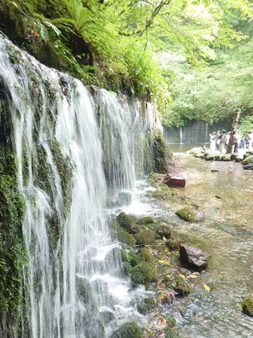緑に包まれた癒やしの滝
