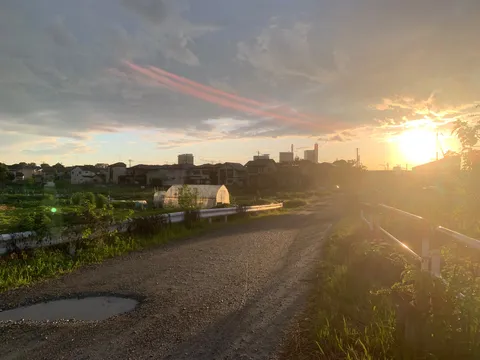 夕暮れ時、小道を照らす光