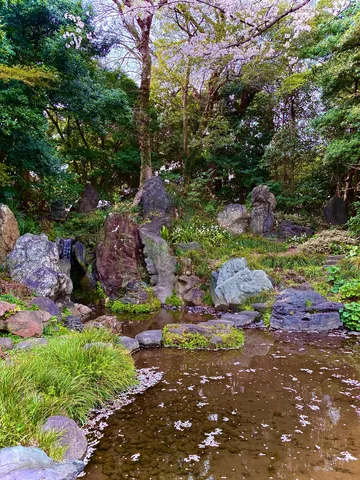 春風を感じる岩庭の池