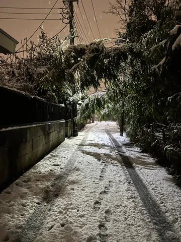 冬の夜道、雪の静寂