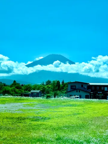 青空と白雲、緑の絨毯と富士山