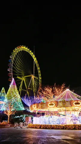 光の遊園地、夜の輪郭
