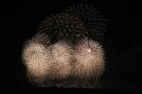 夜空を埋め尽くす黄金の花火